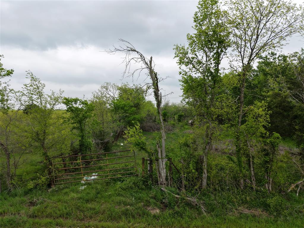 Martha Brennan Survey - Land