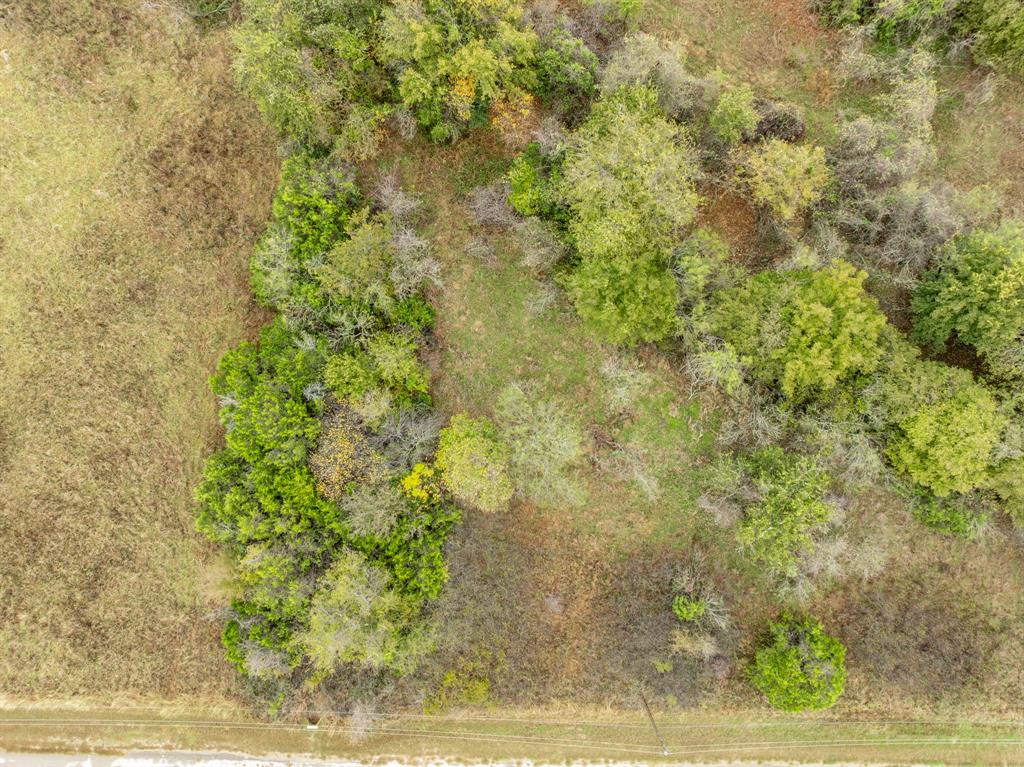 White Bluff #22 - Land