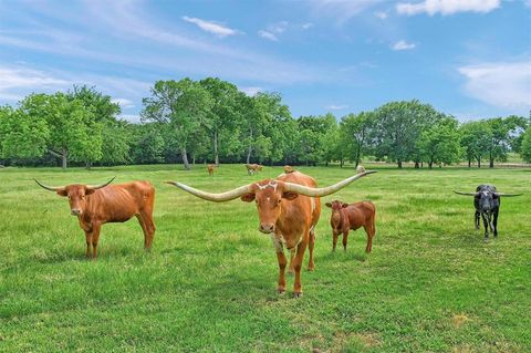TBD FM 2645 Savoy TX 75479
