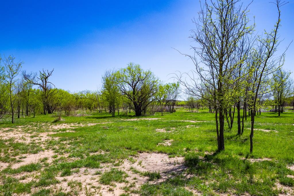 Lot 446 Indigo Bush