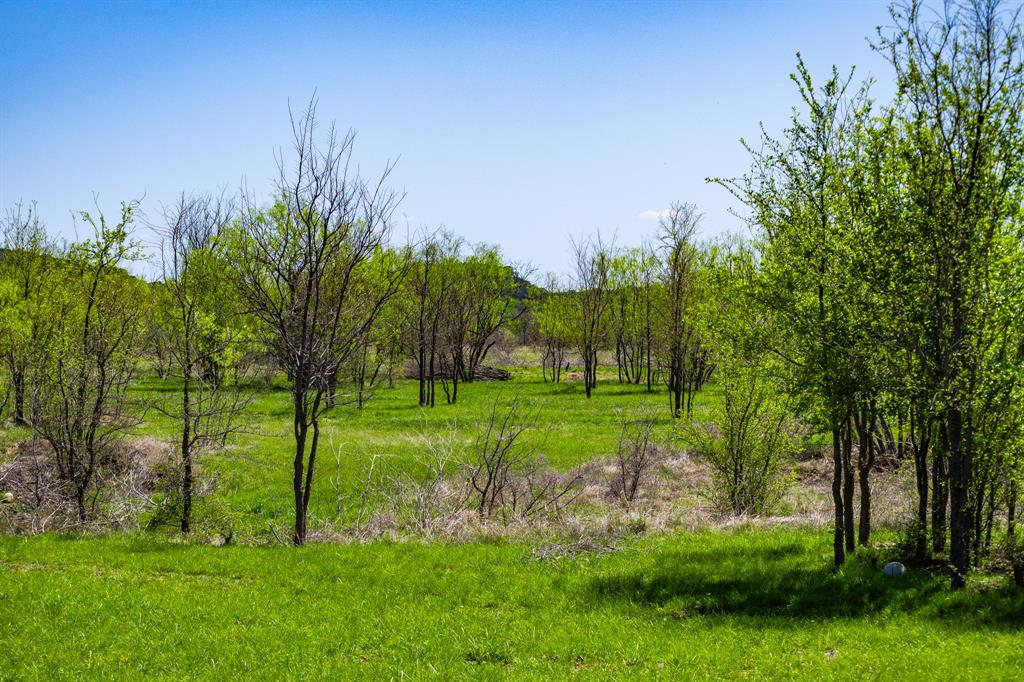 Lot 446 Indigo Bush