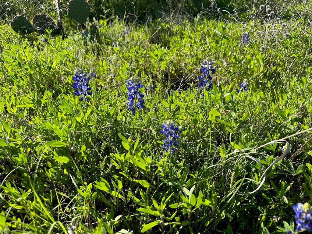 Kings Point Cove Unit 1 - Land