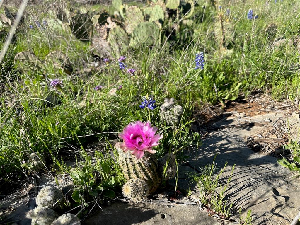 Kings Point Cove Unit 1 - Land