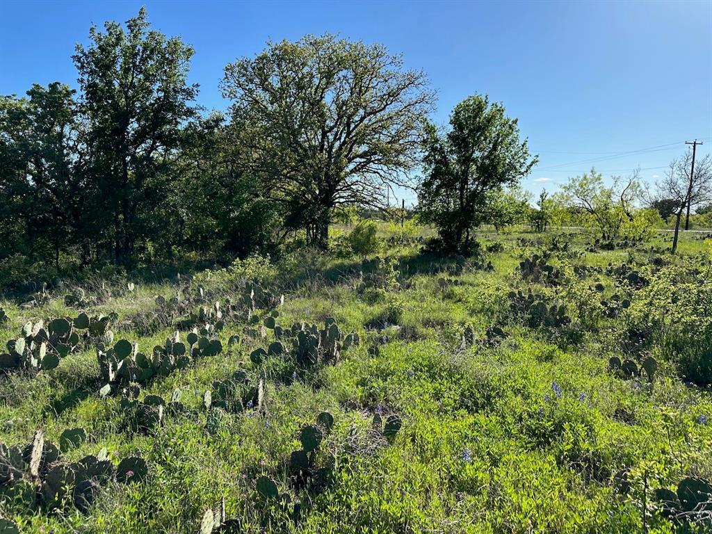 Kings Point Cove Unit 1 - Land