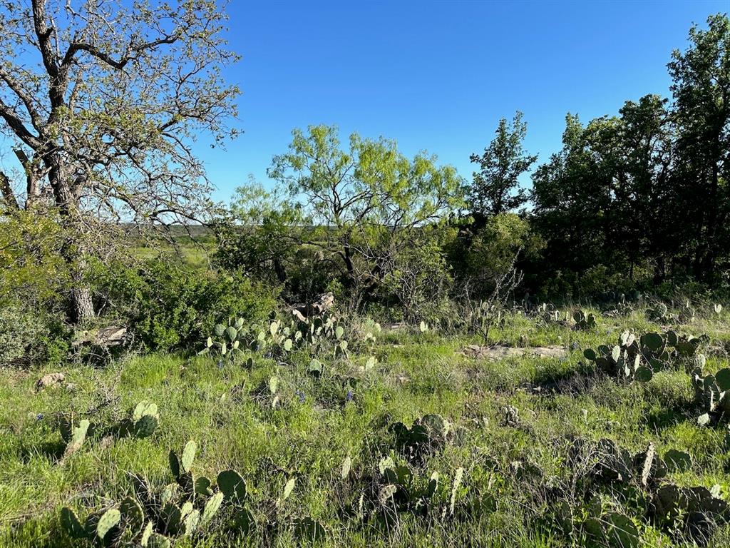 Kings Point Cove Unit 1 - Land