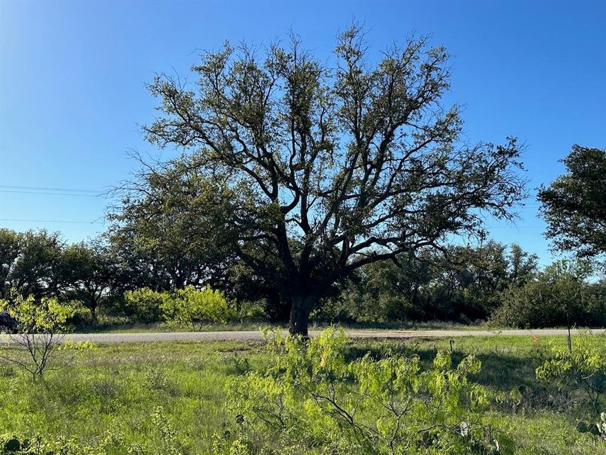 Don’t miss this rare opportunity to own one of the larger interior lots in the prestigious Kings Point Cove Resort Community at The Hideout Golf Club on Lake Brownwood, TX. Lot 461 offers a possible lake view and features approximately 84 feet of road frontage, giving you the perfect canvas to build your dream home in one of Central Texas’s most sought-after resort destinations. This level, build-ready property is ideally situated just a short distance from the championship 18-hole Hideout Golf Course, offering scenic surroundings and a peaceful lifestyle. Utilities are available, making the building process more convenient and cost-effective.

Ownership of this lot comes with an impressive list of amenities designed to enhance your lifestyle. Enjoy four free rounds of golf each month at The Hideout’s Championship Golf Course, along with discounted rates for the community’s RV park, comfortable cabins, and ranch house rentals. As a property owner, you’ll also have unlimited access to two sparkling swimming pools, a relaxing hot tub, two playgrounds, a sand volleyball court, a fishing pond, a driving range, a putting green, and the beautifully appointed resort lodge with an on-site restaurant.

Even more exciting, a private community boat dock on Lake Brownwood is planned, giving you future access to boating, fishing, paddleboarding, and other outdoor activities. Whether you're looking for a weekend getaway, an investment opportunity, or a forever home in a peaceful lake and golf community, Lot 461 is a prime piece of real estate that combines value, beauty, and lifestyle. Live where others vacation—claim your piece of paradise today!