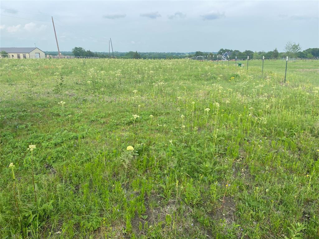Photo 8 of 23 of TBD County Road 220 land