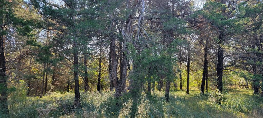 Lot 33 County Road 2607