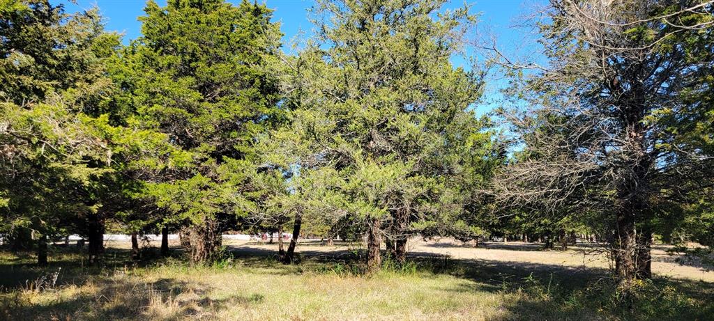 Lot 33 County Road 2607