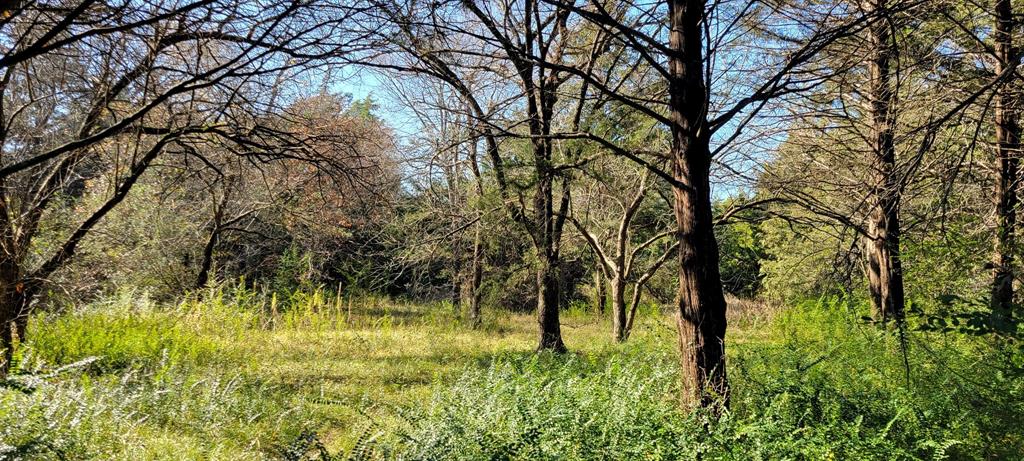 Lot 33 County Road 2607
