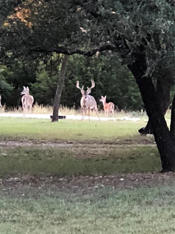Cedar Shores - Residential
