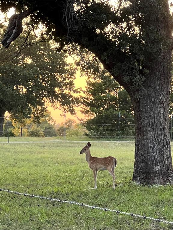 Meadow Ranch Estates - Residential