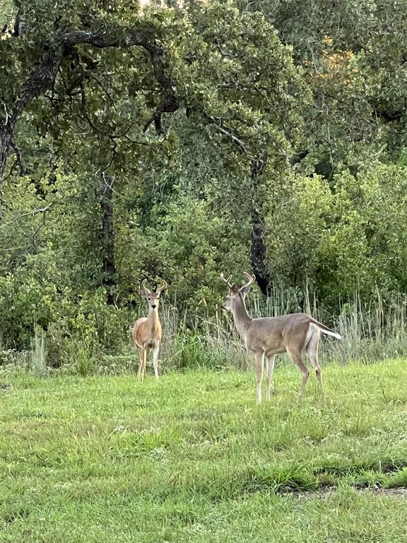 Meadow Ranch Estates - Residential