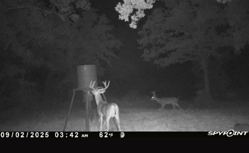 Meadow Ranch Estates - Residential