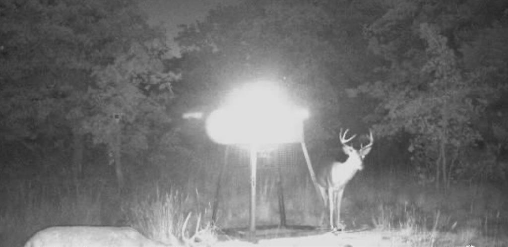 Meadow Ranch Estates - Residential