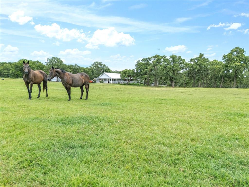 Meadow Ranch Estates - Residential