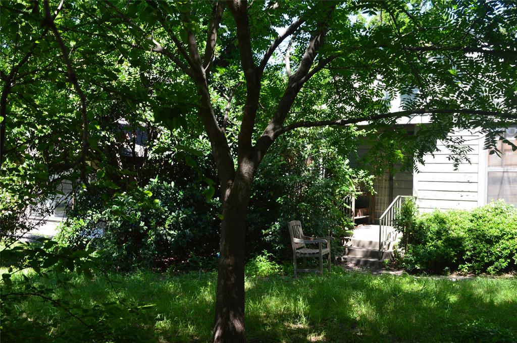 8907 Diceman Drive
