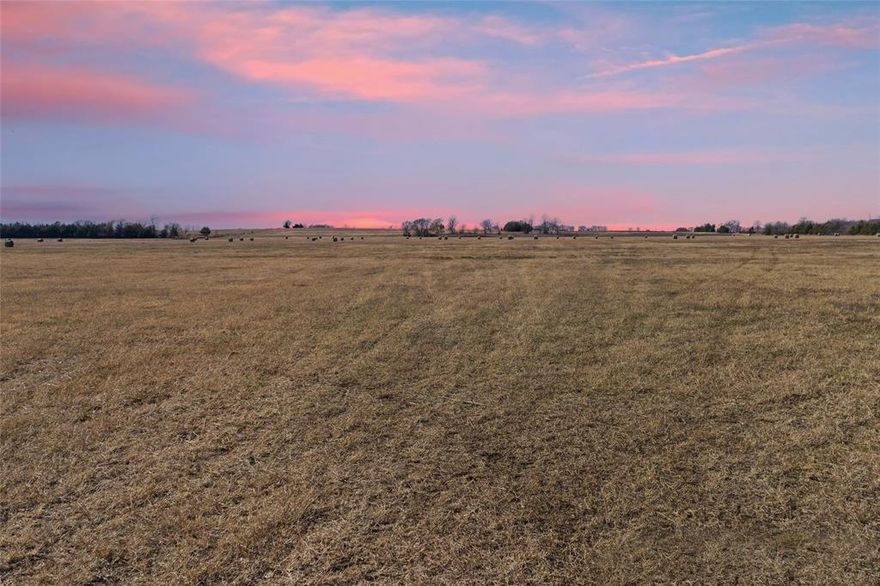 Discover 121.5 acres of beautiful farm and ranch land located just outside Blossom, Texas, offering wide-open spaces and endless possibilities. This expansive property showcases rolling pastureland with a peaceful rural setting, making it ideal for agriculture, livestock, or recreational use.

The land provides ample room for cattle grazing, hay production, or building your dream homestead. With its generous acreage, the property offers excellent privacy while still being conveniently located near local amenities and an easy drive to Paris, TX. The open terrain allows for flexible use and future development opportunities.

Whether you’re looking to expand your ranching operation, invest in land, or create a private retreat in the heart of Lamar County, this 121.5-acre tract delivers the space, versatility, and Texas countryside charm you’ve been searching for.