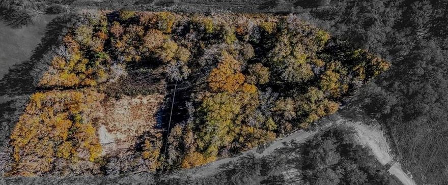 Welcome to 1901 W Bethesda Rd—a rare opportunity to own over 3 pristine acres in the heart of Burleson’s peaceful countryside. Nestled in a prime location just minutes from I-35 and the charm of downtown Burleson, this 3.16-acre tract offers the perfect blend of tranquility and convenience.

Whether you're dreaming of building your forever home, developing a custom barndominium, or simply investing in land with unlimited potential—this unrestricted lot gives you the freedom to bring your vision to life. Surrounded by custom homes and open skies, enjoy the privacy of rural living with no HOA and plenty of space for a workshop, guest house, or animals.

This flat, cleared property offers easy utility access and a wide frontage on W Bethesda Rd—perfect for a private gated entrance. Zoned within highly regarded Joshua ISD, it’s ideal for families seeking a quiet retreat with access to quality schools.