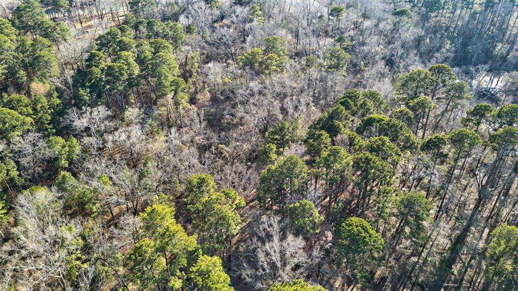 Cathey Estates - Land