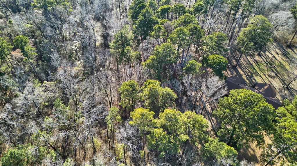 Cathey Estates - Land