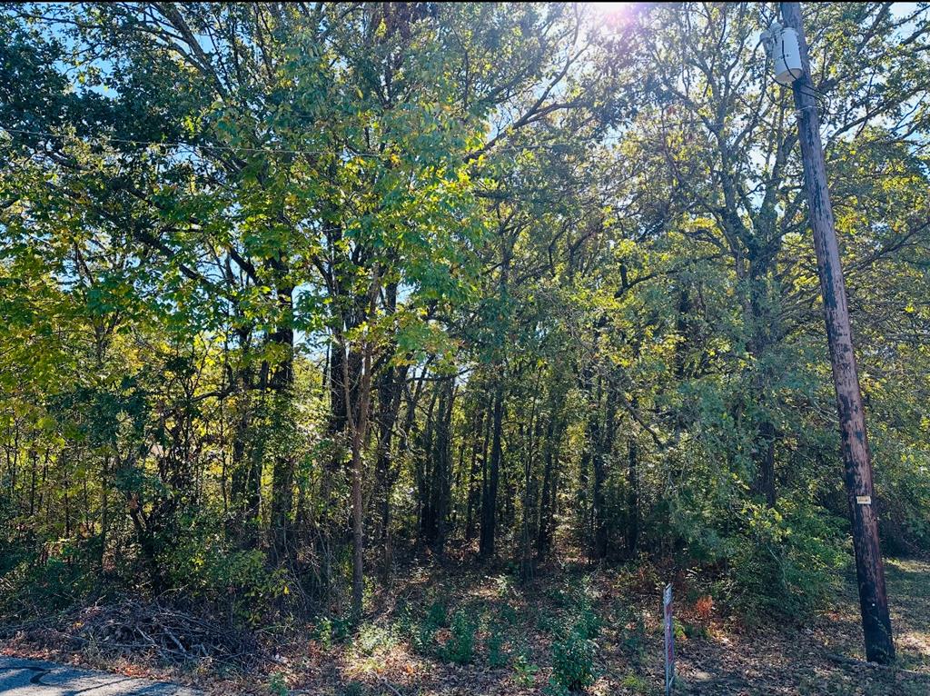 Lakeside Acres - Land