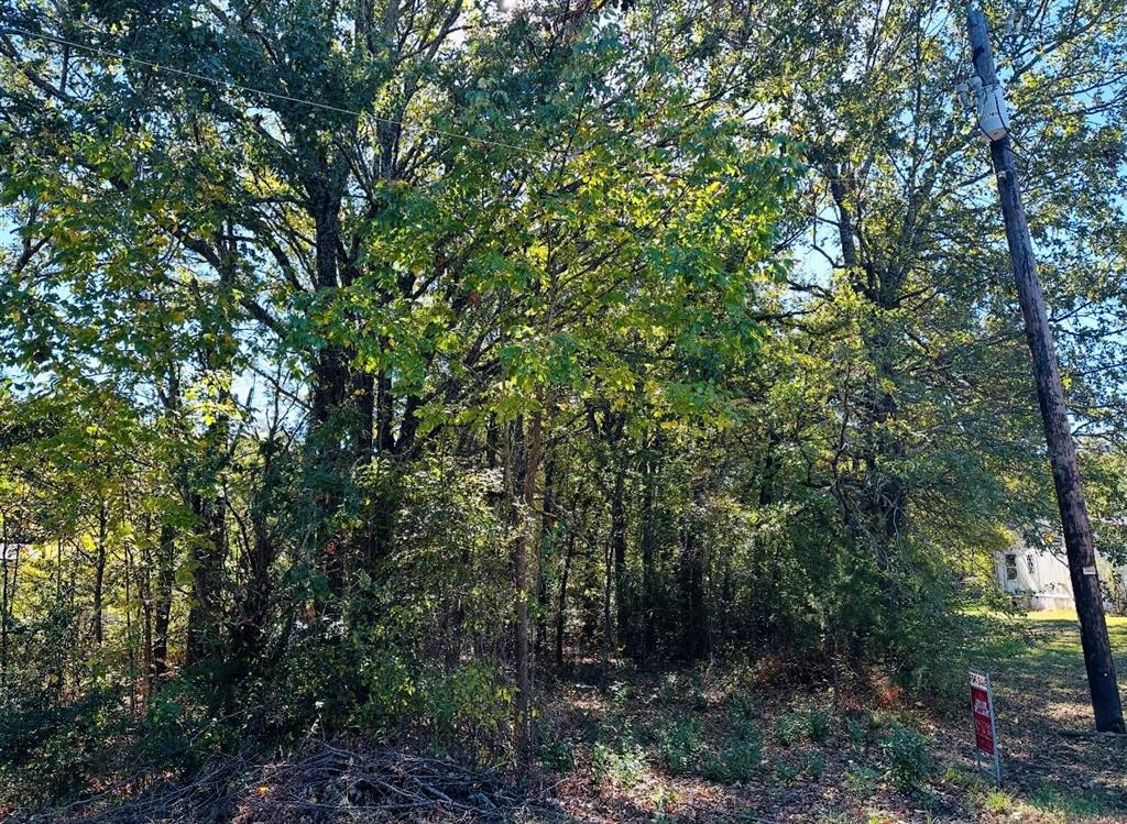 Lakeside Acres - Land