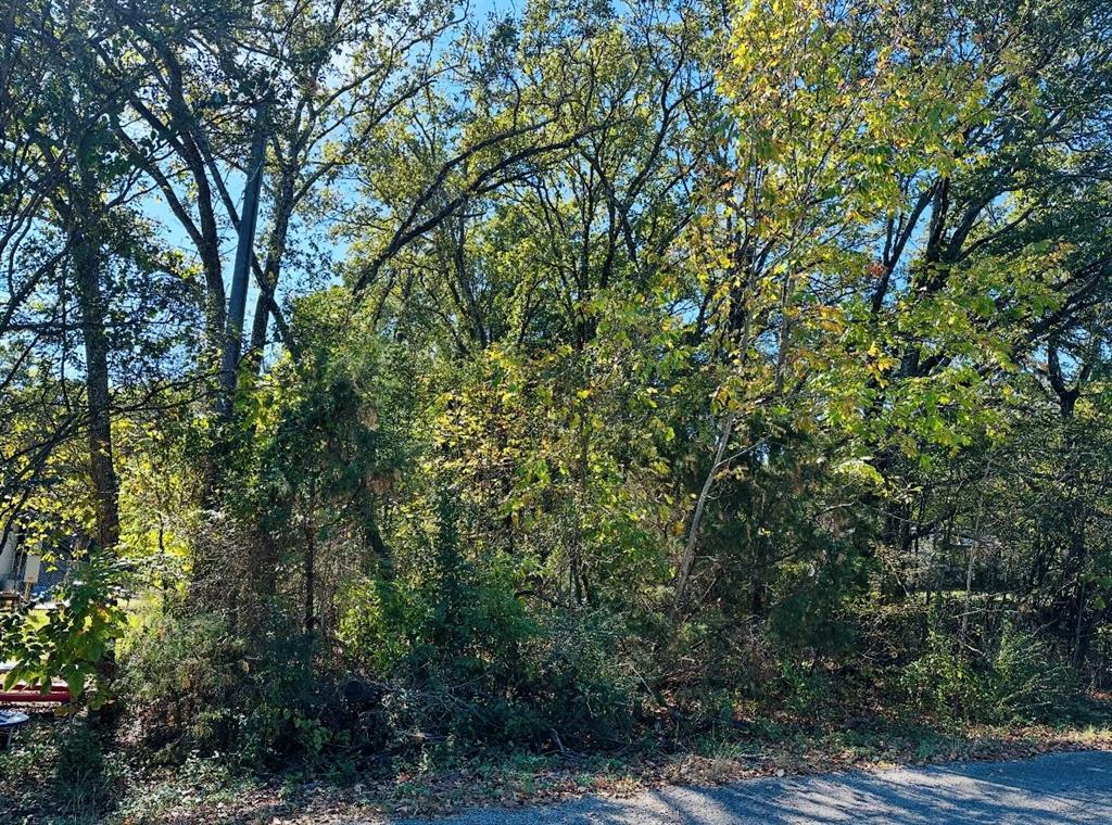 Lakeside Acres - Land