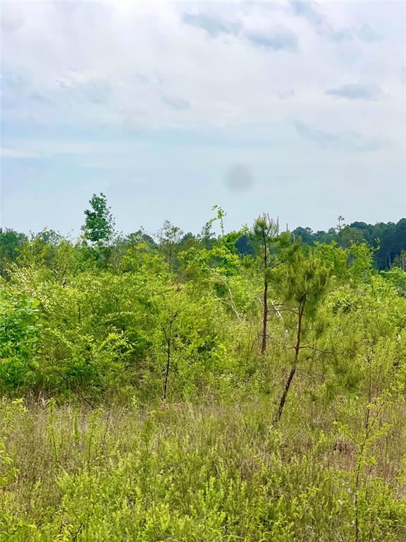 TBD CR 334 & Center Churc TBD CR 334 & CR 336 Center Church Rd