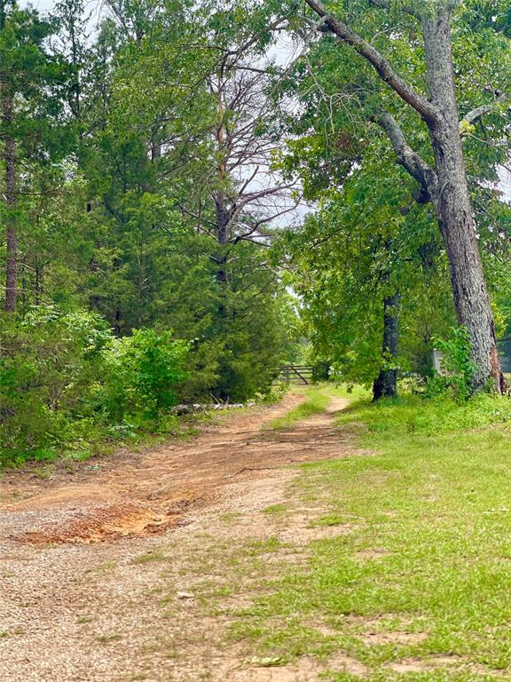 TBD CR 334 & Center Churc TBD CR 334 & CR 336 Center Church Rd