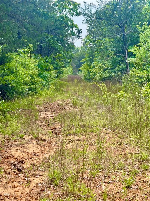 No - Commercial Sale