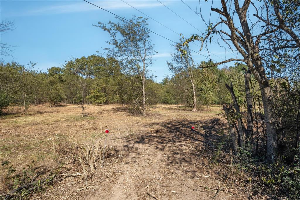 Edgewood Acres N - Land