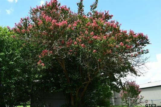 A1000381 - A0381 J Gibson - Residential