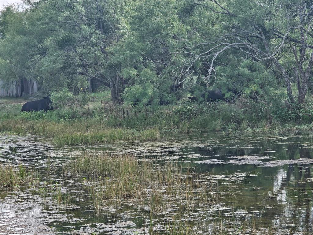 Wm Frells 120 - Farm