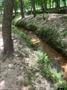 10774 County Road