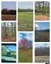 10774 County Road