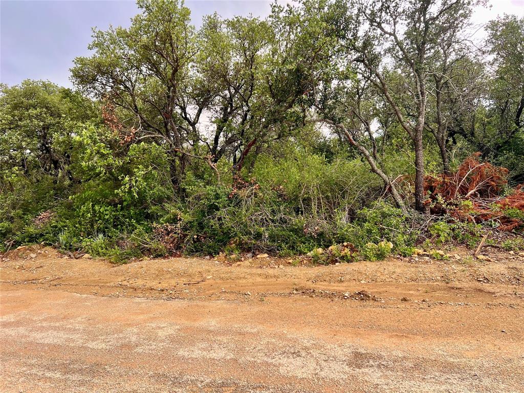 Lake Brownwood Shores - Land