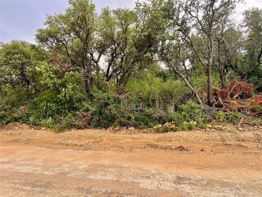 Looking for an RV lot near Lake Brownwood? Here is an excellent opportunity! This 30x132 tract offers a great blend of natural beauty and usability, featuring mature trees along with open, cleared areas ready for your setup. Utilities are available at the road. With good road access and a peaceful setting, this property is priced to sell.

Located just minutes from Lake Brownwood and only about 10 miles from Brownwood, you’ll enjoy quick access to dining, shopping, and everyday conveniences while still having the privacy and quiet of country living.

This flexible property can be used as a full-time residence, weekend getaway, RV site, or even an income-producing investment.

Don’t miss your chance, schedule your showing today, and explore the potential this property has to offer!