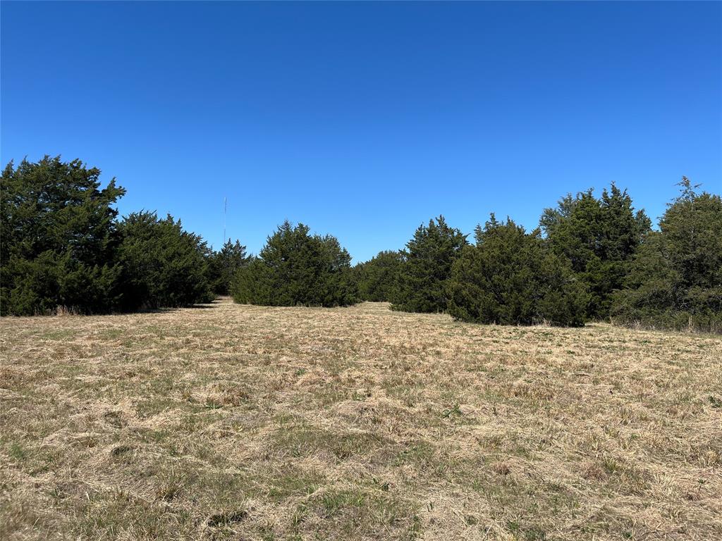 TOBY THOMAS A-G1252, ACRES 15.0 - Land