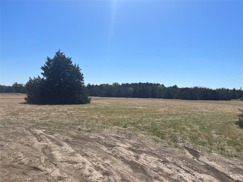 TOBY THOMAS A-G1252, ACRES 15.0 - Land