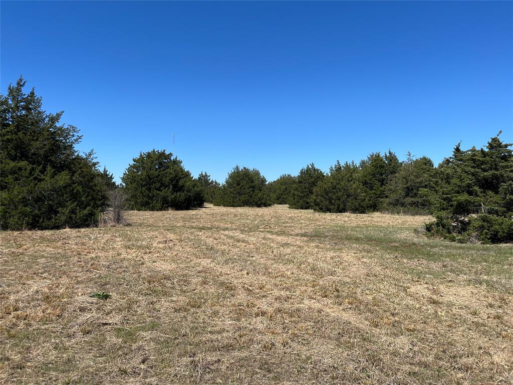 TOBY THOMAS A-G1252, ACRES 15.0 - Land