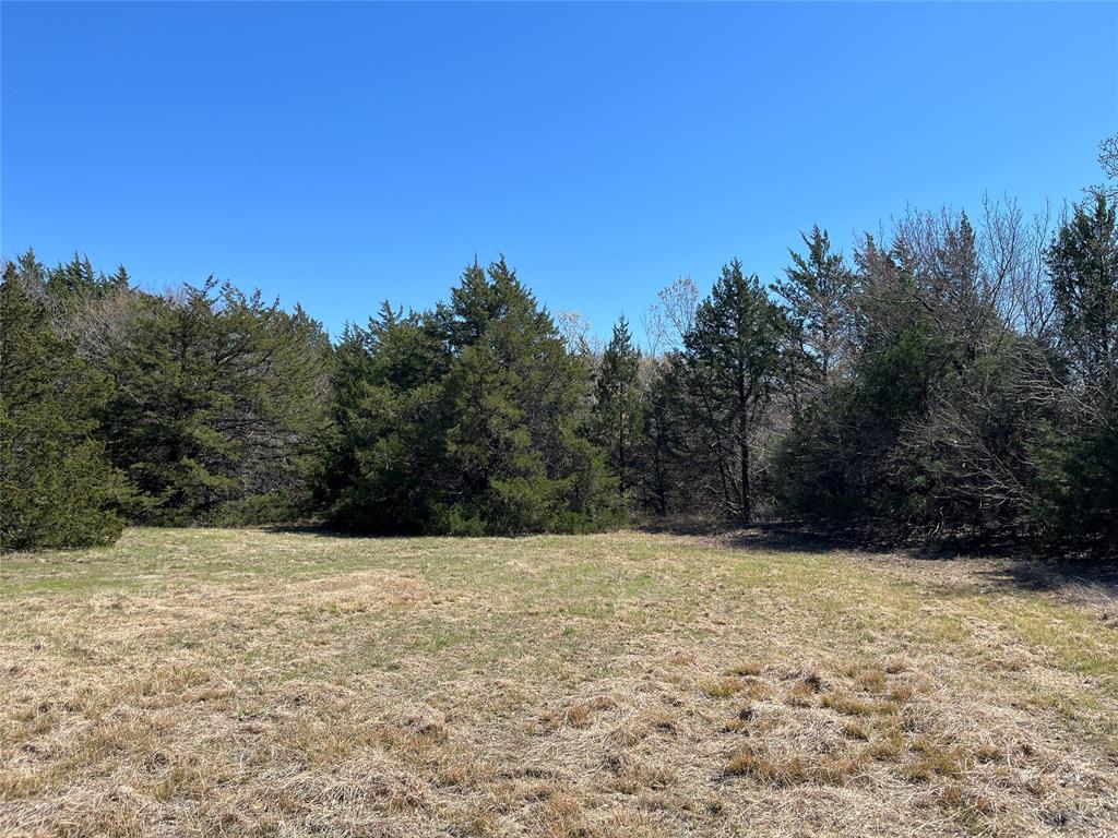 TOBY THOMAS A-G1252, ACRES 15.0 - Land