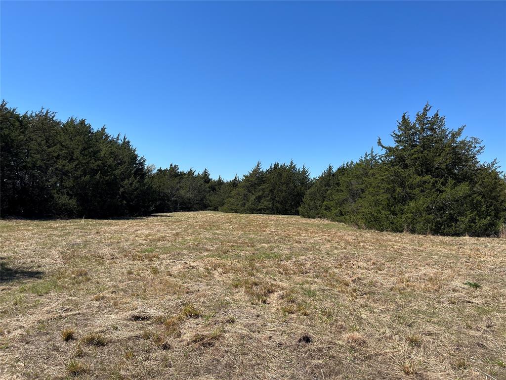 TOBY THOMAS A-G1252, ACRES 15.0 - Land