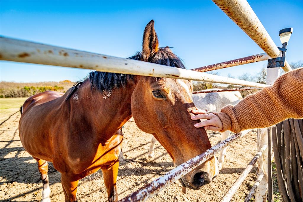 Trent Kresich Addition - Farm