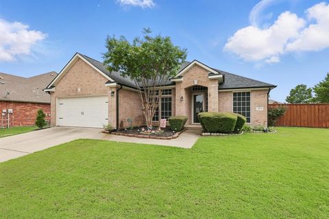 313 Owen Oaks Drive Lake Dallas TX 75065