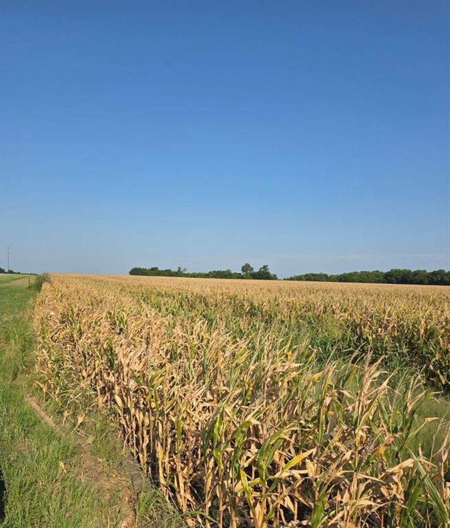 Discover an exceptional opportunity with this 35.2-acre agricultural property, offering endless potential for farming, development, or long-term investment. With generous open land, excellent accessibility, and flexible zoning, this property is ideal for crop production, livestock, agribusiness ventures, homesteading, or future expansion projects.

The expansive layout provides room for multiple uses—whether you envision income-producing agriculture, a private estate, rental farm operations, or land banking for future growth. Properties of this size and versatility are becoming increasingly rare, making this a strategic investment with outstanding upside potential.

Acreage, opportunity, and flexibility—all in one. This is the perfect blank canvas for your vision.