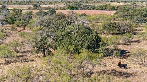 TBD Berry Dairy Road Bryson TX 76427