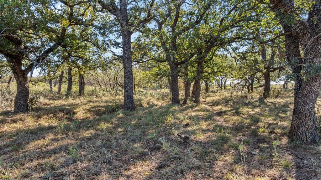 TBD Berry Dairy Road