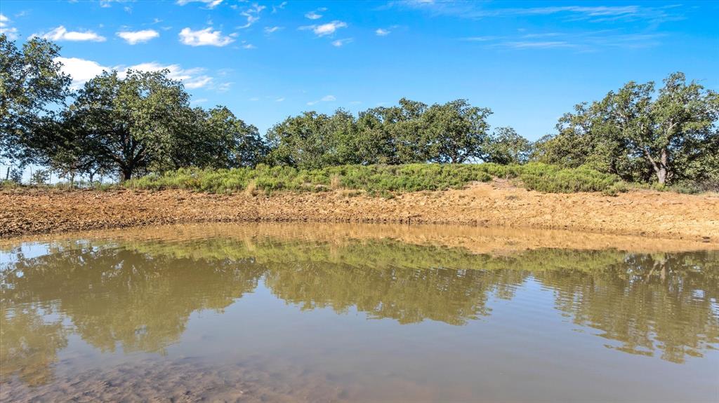 TBD Berry Dairy Road