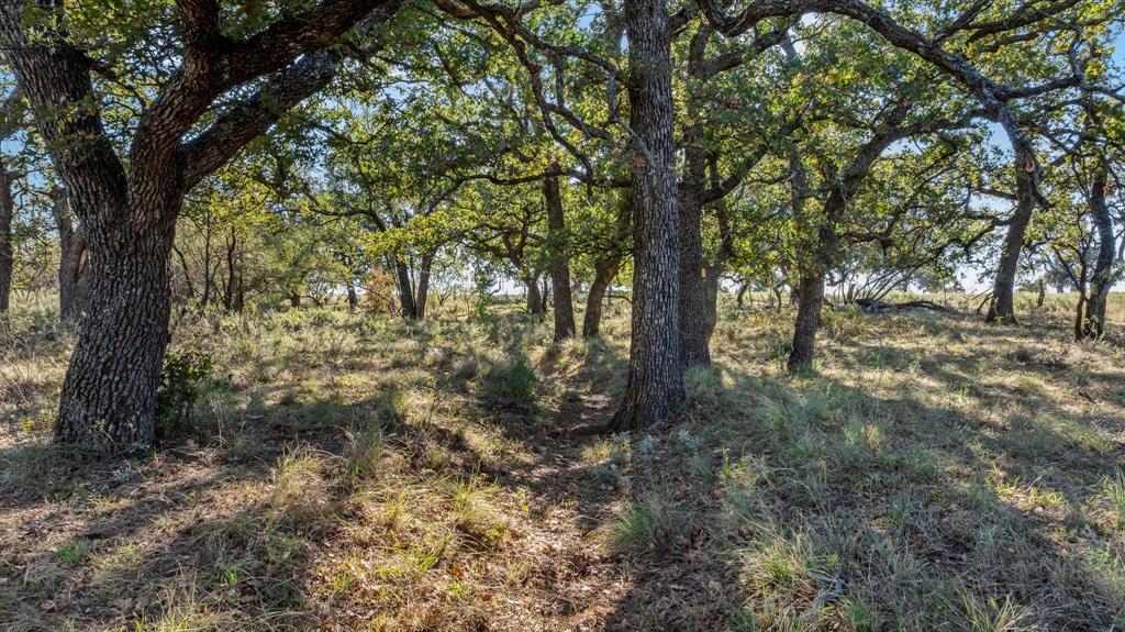 TBD Berry Dairy Road